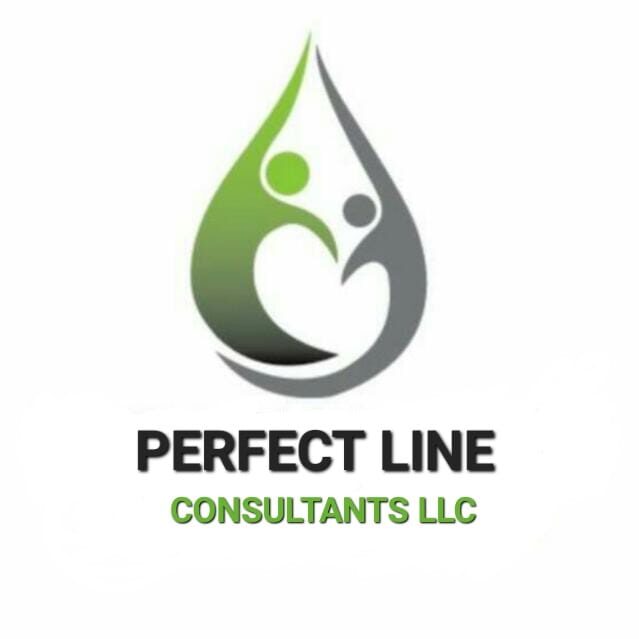 Perfect Line Consultants LLC